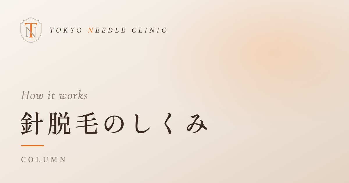 針脱毛のしくみのコラム